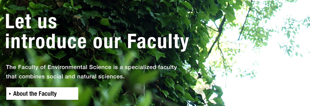 About the Faculty