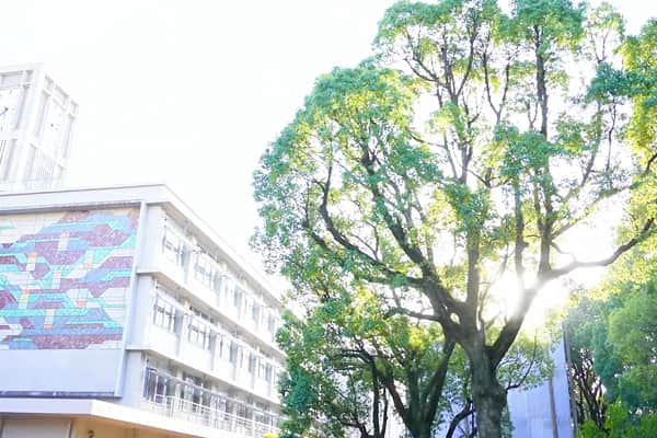 環境科学部の教育コンセプト 動画サムネイル
