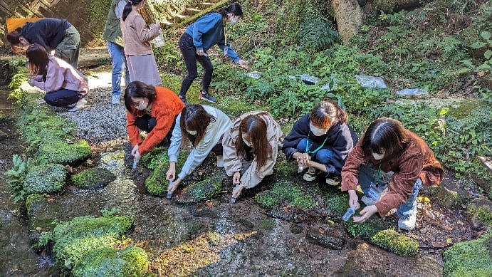 現地調査（採水調査）