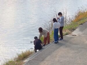 研究画像