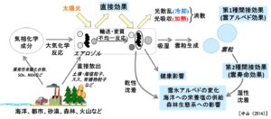 研究画像