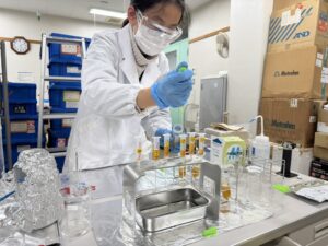 研究画像