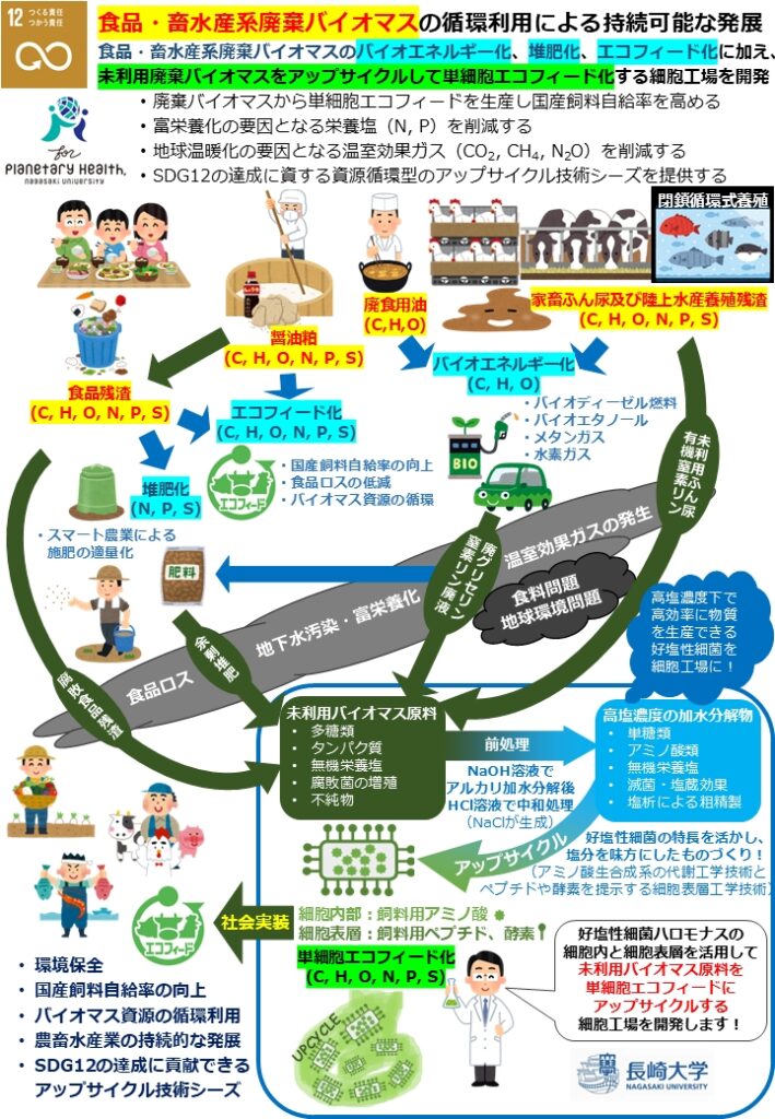 研究画像