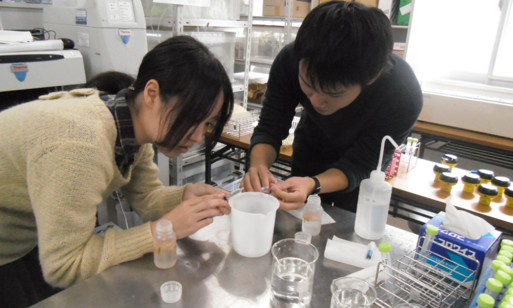 研究室指導の様子_実験