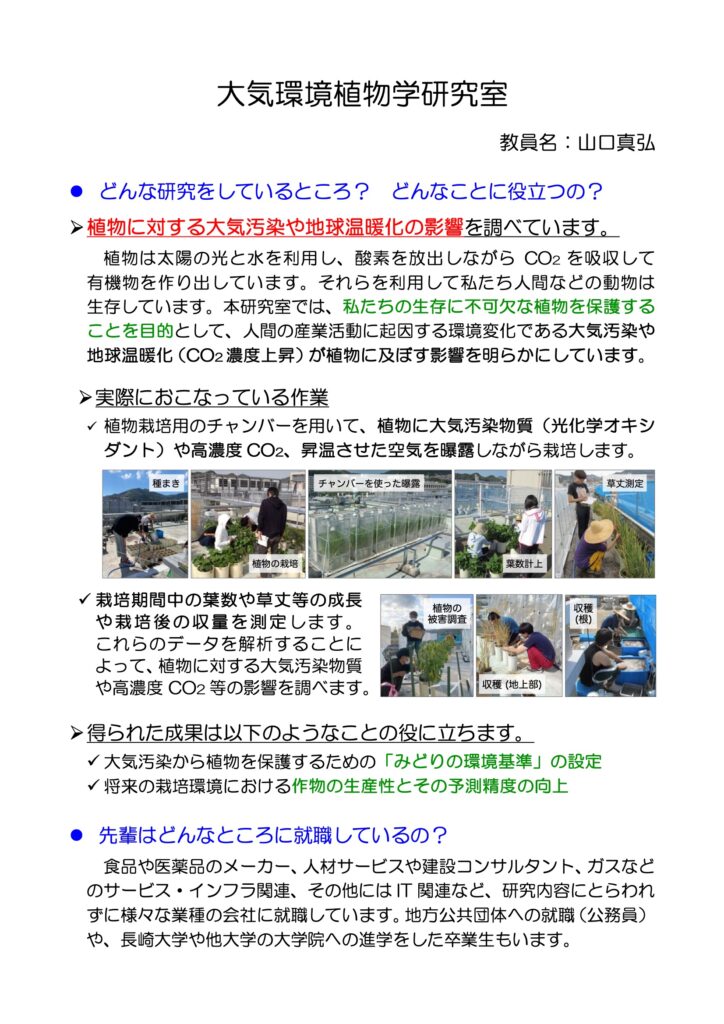 研究PDF