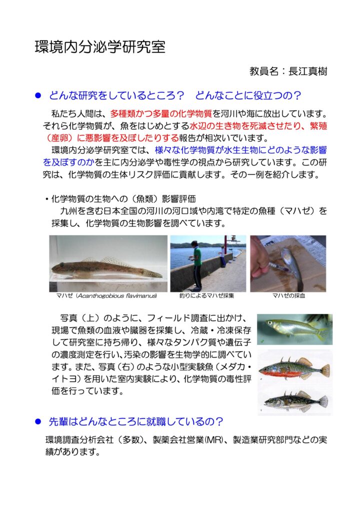 研究PDF