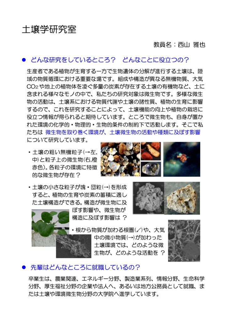 研究PDF