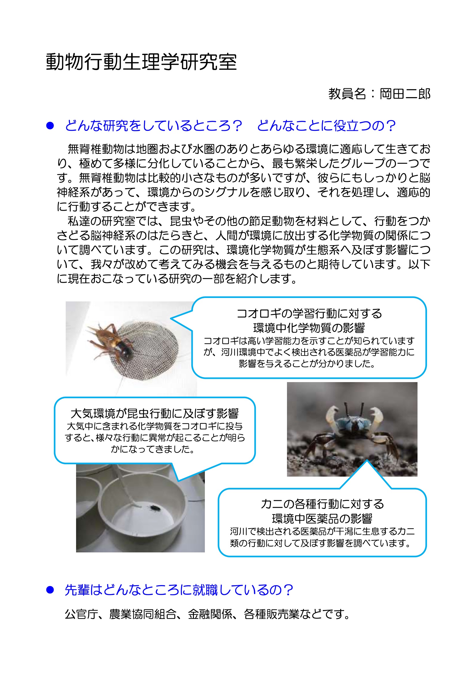 先生研究PDF