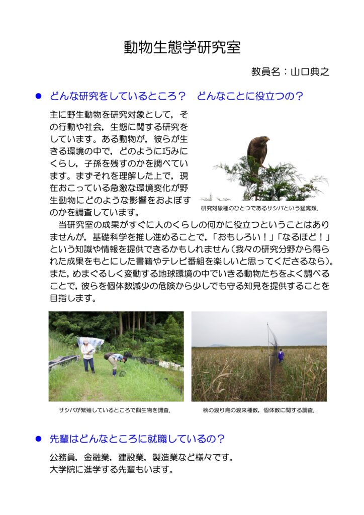 研究PDF