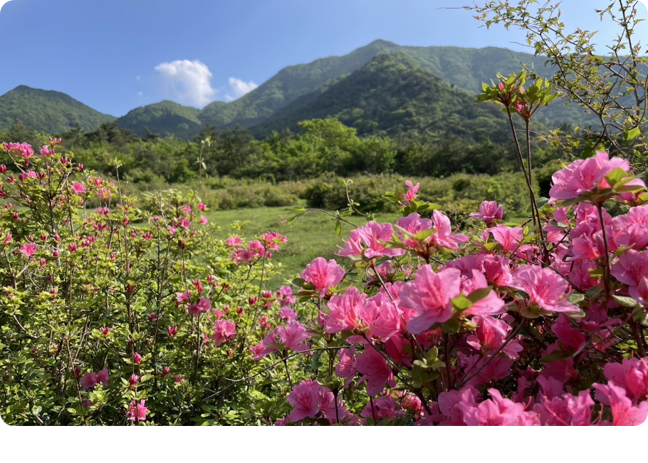 自然豊かな長崎県の風景1