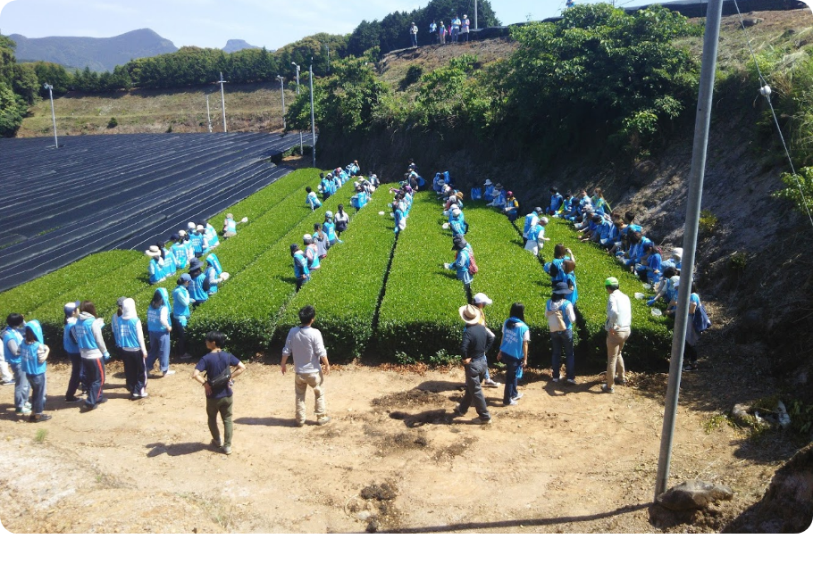 自然豊かな長崎県の風景2