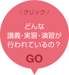 どんな講義・実習・演習が行われているの？