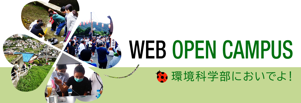 WEB OPENCAMPUS